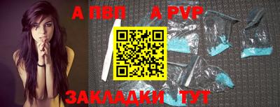 шишки Новодвинск