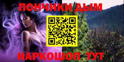 шишки Новодвинск