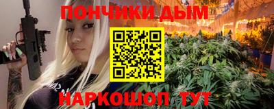 шишки Новодвинск