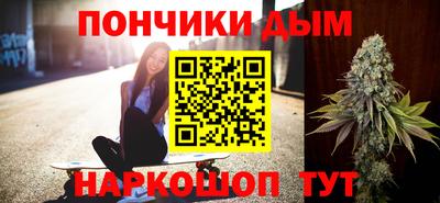 шишки Новодвинск
