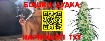 ГАЛЛЮЦИНОГЕННЫЕ ГРИБЫ Новозыбков