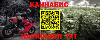 шишки Новодвинск
