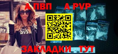шишки Новодвинск