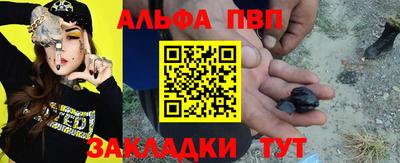 шишки Новодвинск