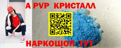 шишки Новодвинск