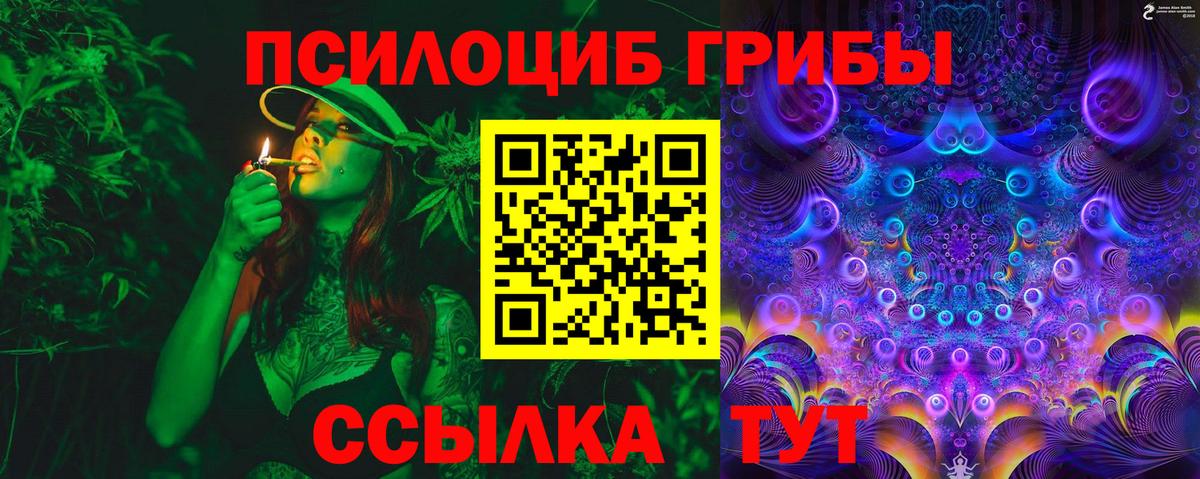 Юрга  Псилоцибиновые грибы мицелий  Псилоцибиновые грибы Psilocybe  Вход с VPN 